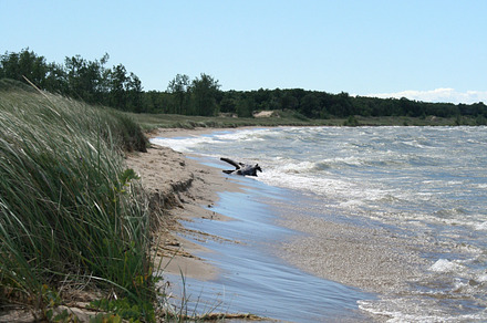 Lake life on the shore stock photo containing america and lake