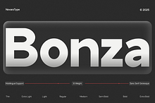 NV Bonza – Modern Sans Serif Family