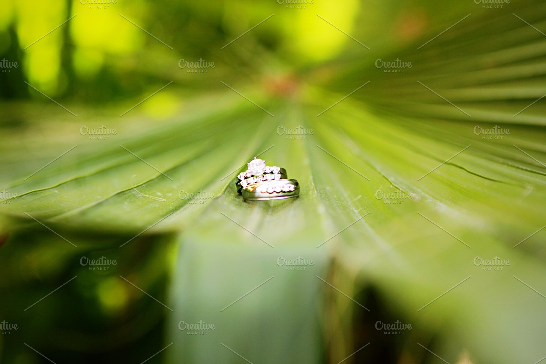 Wedding Rings Stock Photograph