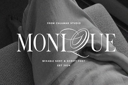 Monique Display Duo Font | Logo Font, a Serif Font by Calamar Studio