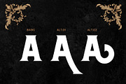 Erosa - Vintage Serif, a Serif Font by Nirmana Visual (Thumbnail 8 of 13)