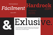 Shemekia, a Slab Serif Font by Areatype (Thumbnail 5 of 15)