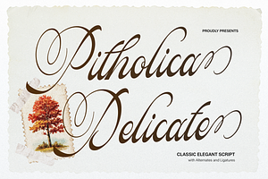 Pitholica Delicate Classic Script