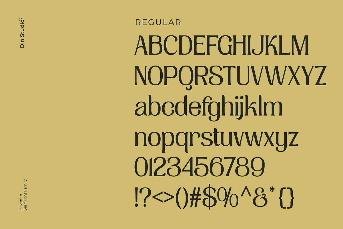 Havenite, a Serif Font by din-studio.com (Photo 10 of 16)