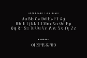 Konxer - Aesthetic Serif Font, a Serif Font by QR Design Studio (Thumbnail 6 of 12)