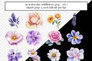 50 Watercolor Painted Wildflowers, an Object Graphic by AllTheKewtClipart (Thumbnail 2 of 5)