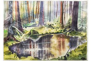 Pine forest swamp watercolor