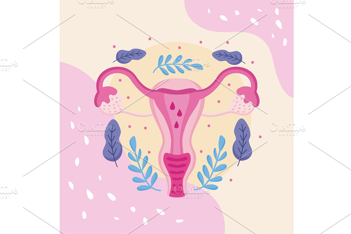 woman uterus and leafs, an Object Illustration by studiogstock