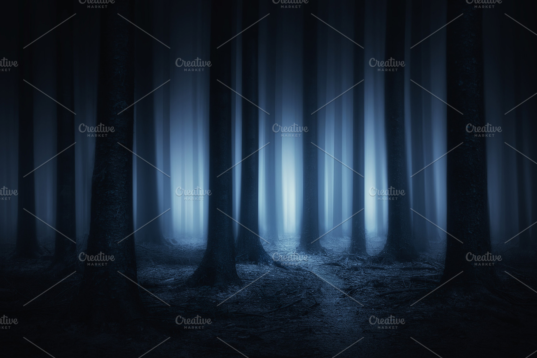 Lost in the forest, a Nature Photo by mimadeo