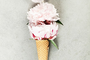 Creative Floral Arrangement in Ice Cream Cone on Gray, a Beauty & Fashion Photo by Natalia Klenova's Shop