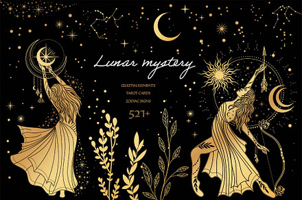 Lunar mystery, an Animal Illustration by DigitalART by Prozo