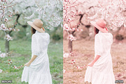 Sakura Rose Gold Lightroom Presets, a Preset Add-On by AAA Presets (Thumbnail 4 of 23)