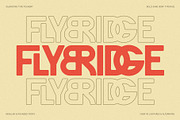 FlyBridge - Bold Ligature Rich Sans, a Sans Serif Font by SilverStag Type Foundry (Thumbnail 1 of 30)
