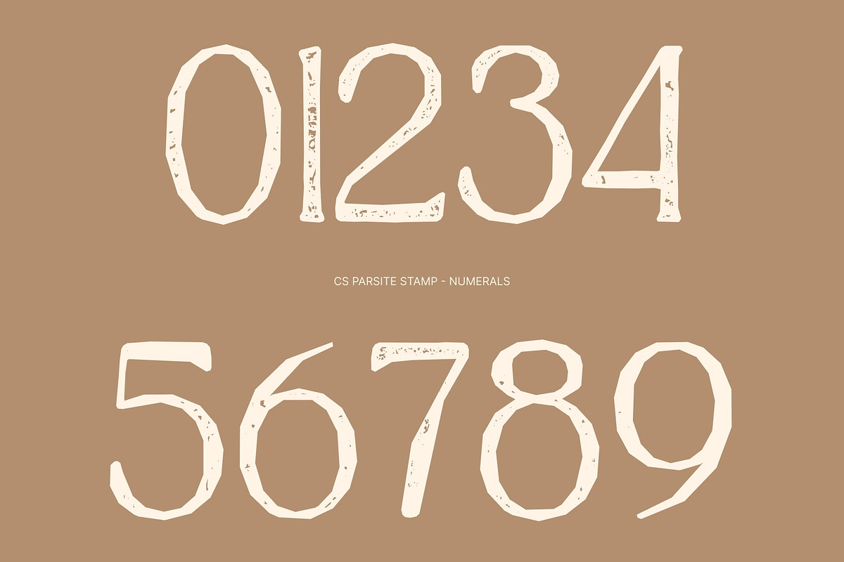 CS Parsite Stamp, a Serif Font by Craft Supply Co. (Photo 6 of 8)