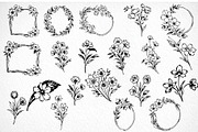 ROUGH BOTANICAL SKETCHES Vector, an Illustration by Casa Mandarina (Thumbnail 3 of 10)