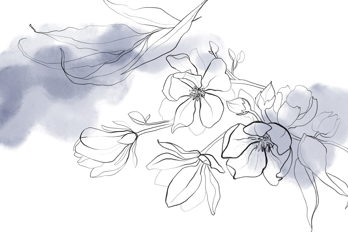 Botanical Line Art Collection, an Object Illustration by Colden Blue (Photo 6 of 10)