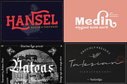 VT Treasure Font Bundle, a Script Font by ViactionType (Thumbnail 7 of 12)