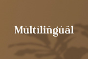 Molnica – Stylish Modern Serif Font, a Serif Font by BrandSemut (Thumbnail 7 of 8)