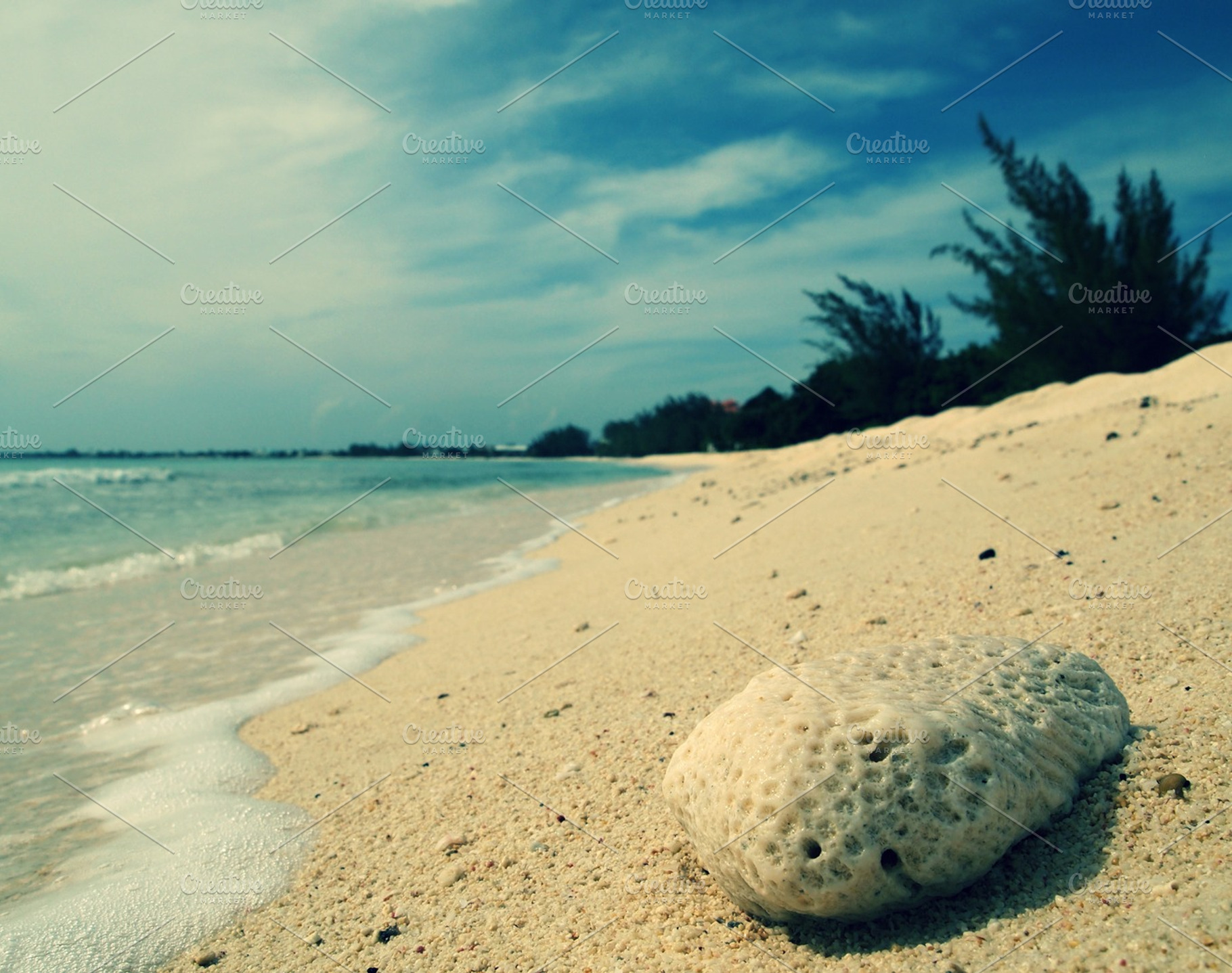 Rock On The Beach Containing Beach Sumer And Rock