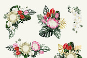 Protea - tropical collection, a Texture Illustration by Backyard Rose (Thumbnail 8 of 22)