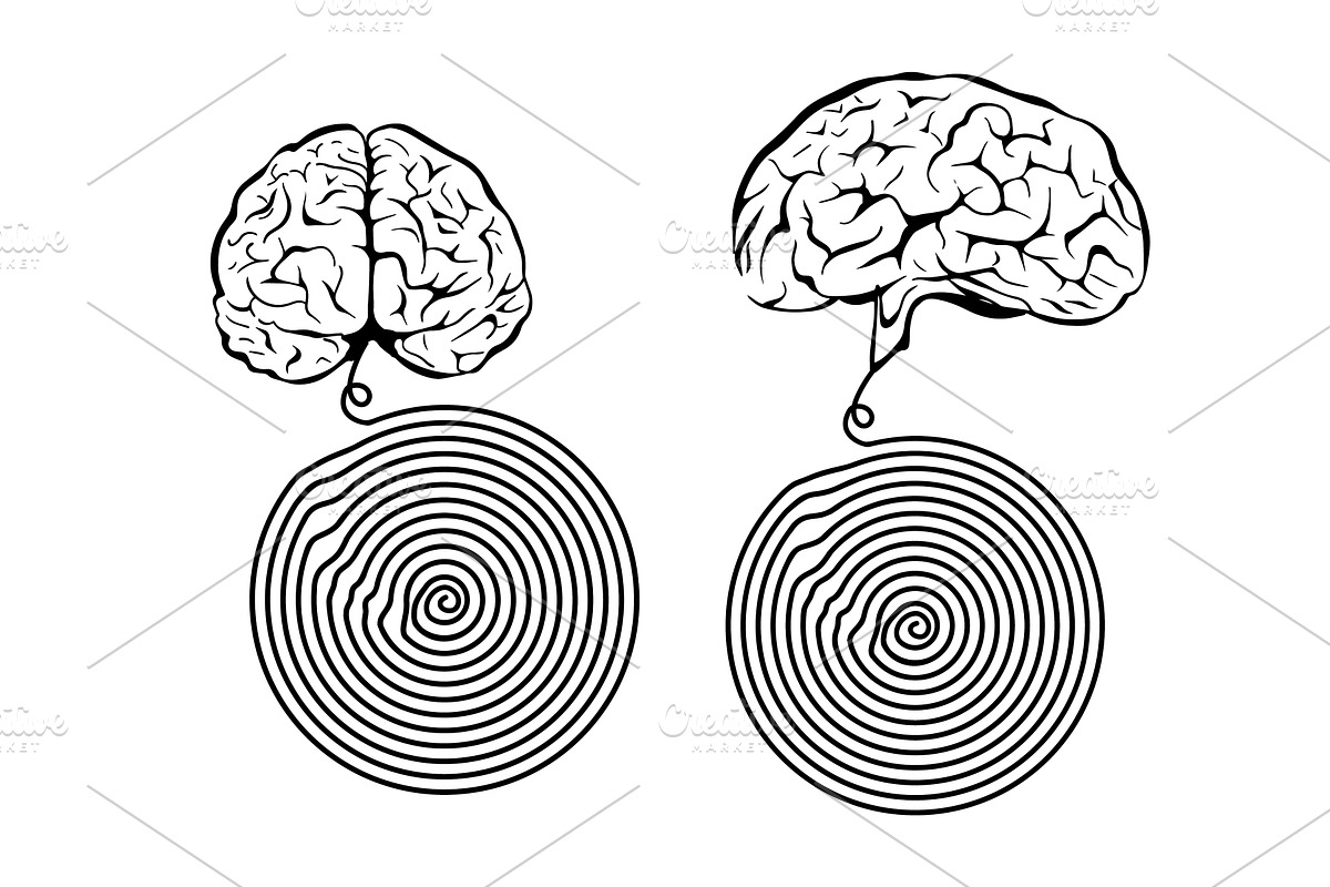 Brain line spiral. Structured, an Education Illustration by Nenahliadava Design