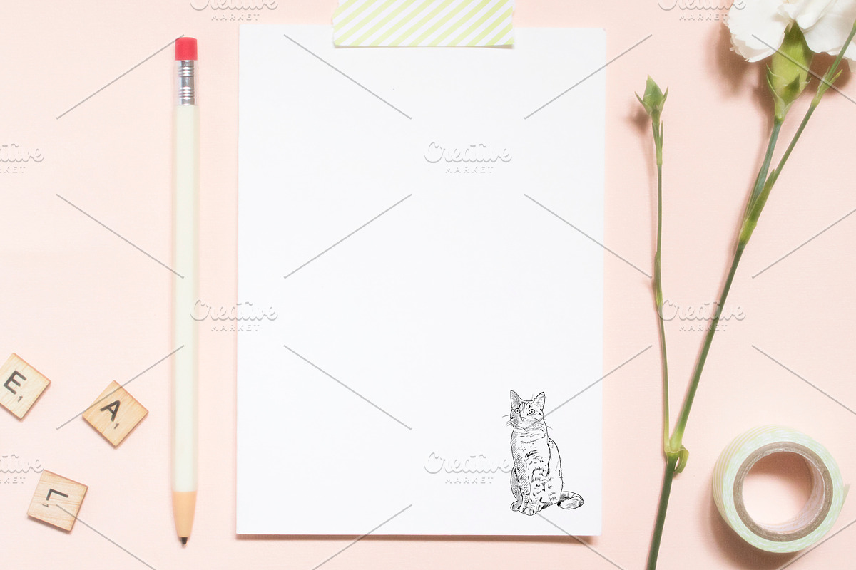 Cats & Kittens Sketches & Silhouette, an Animal Illustration by becky nimoy (Photo 3 of 4)