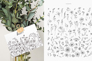 Wildflowers collection, a Decorative Illustration by Merfin (Thumbnail 8 of 11)