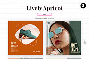 Lively apricot social media graphic, a Social Media Template by Chanut is industries (Thumbnail 3 of 8)