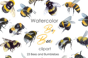 Bee Clipart Watercolor Insect Art