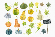 Watercolor Fall Pumpkin & Gourd Set, an Illustration by MiracleArtAndDesign (Thumbnail 2 of 3)