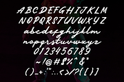 Pesta Danza – Wild Expressive Fonts, a Script Font by Konstantine Studio (Thumbnail 4 of 5)