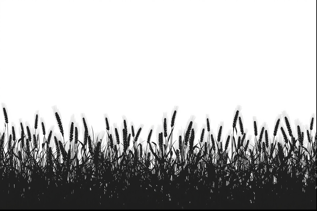 Rustic Wheat Field Vector Borders, an Illustration by hafijul (Photo 7 of 9)