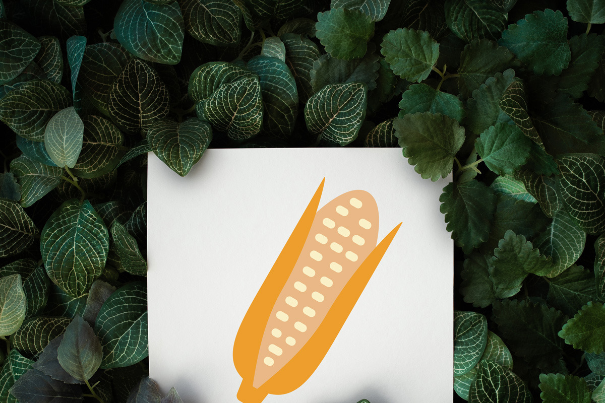Agriculture Farming & Gardening, an Icon by Color Cubes (Photo 6 of 8)