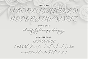 Lillywhite A Beautiful Script Font, a Script Font by Storytype Studio (Thumbnail 13 of 15)