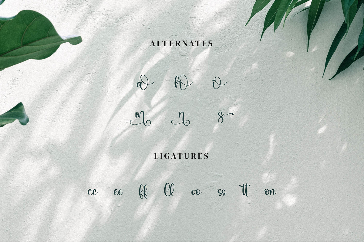 Qianetta, a Script Font by Integritype Studio (Photo 11 of 15)