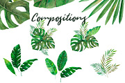 Amazonia. Tropical leaves, a Decorative Illustration by SaharaArt (Thumbnail 3 of 8)