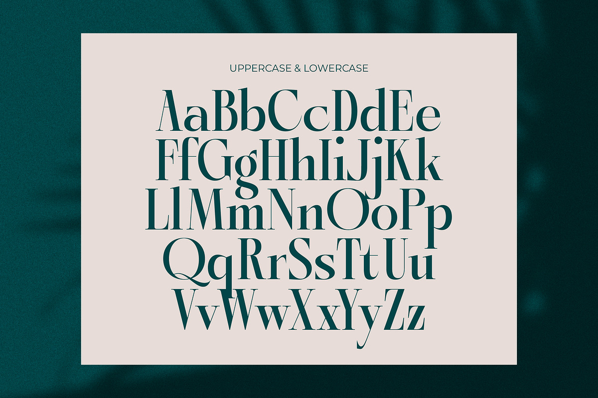 Kozan - Elegant Modern Serif, a Serif Font by timelesstype.co (Photo 7 of 20)