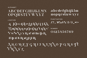 Bolin Dariske Elegant Serif Font