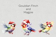Christmas Australian Native Birds, a Seasonal Illustration by Pawcasso's Portraits (Thumbnail 3 of 9)