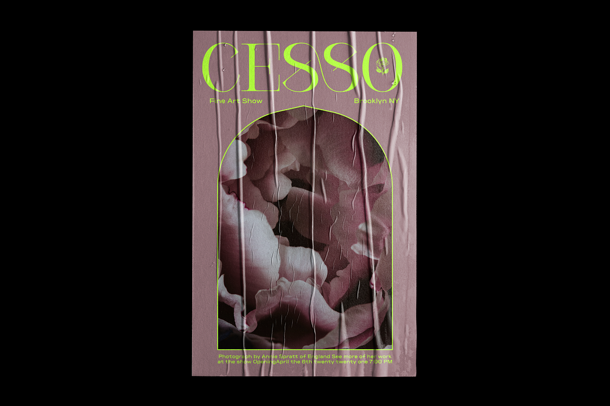 Cesso: Ligature Serif, a Serif Font by That That Creative (Photo 16 of 17)