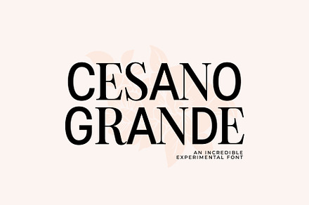 Cesano Grande elegant