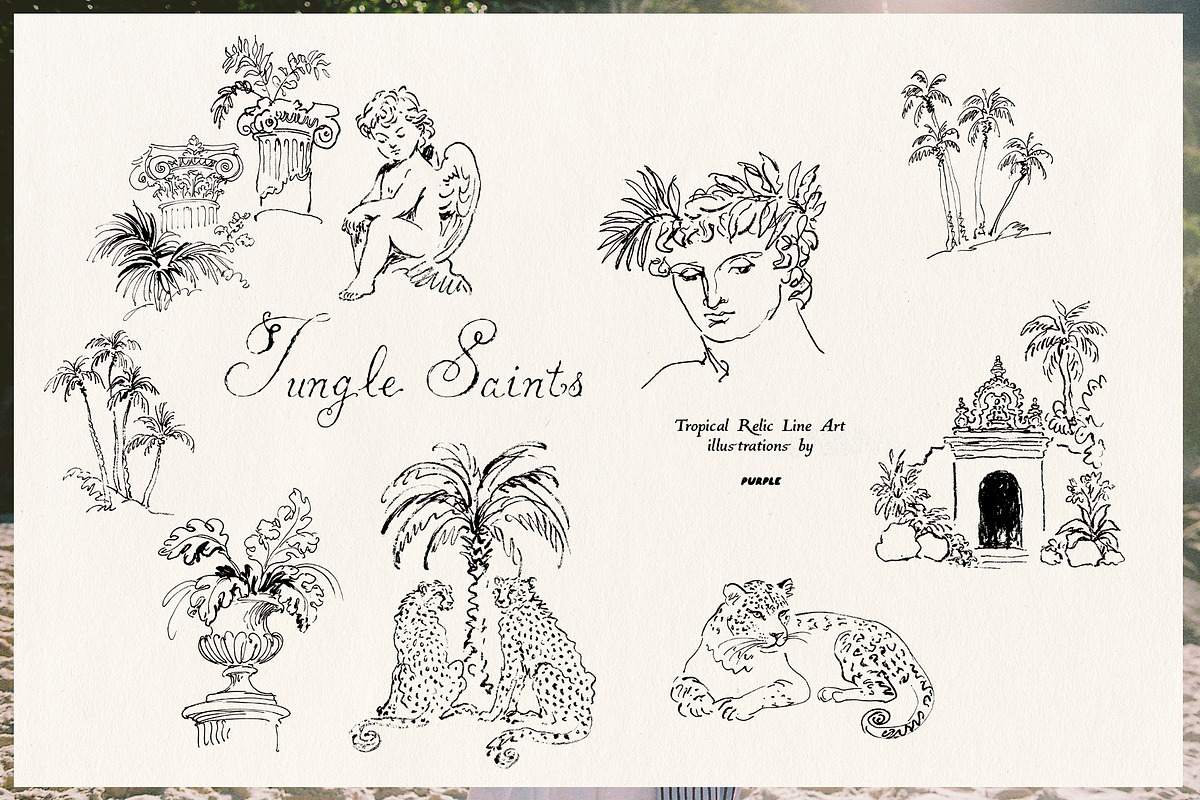 Jungle Saints: Tropical Line Art, an Object Illustration by Purple (Photo 12 of 15)