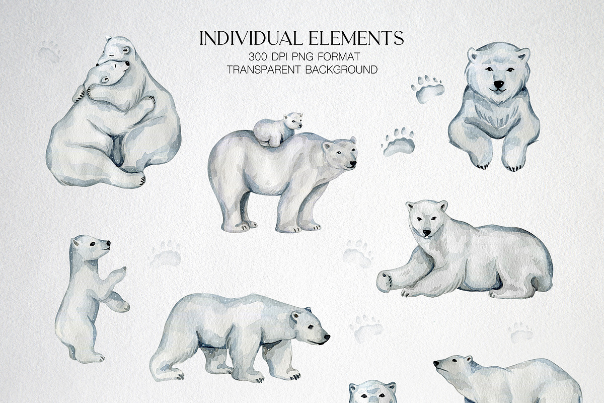White Polar Bears, an Animal Illustration by CrystalinaShop (Photo 2 of 8)