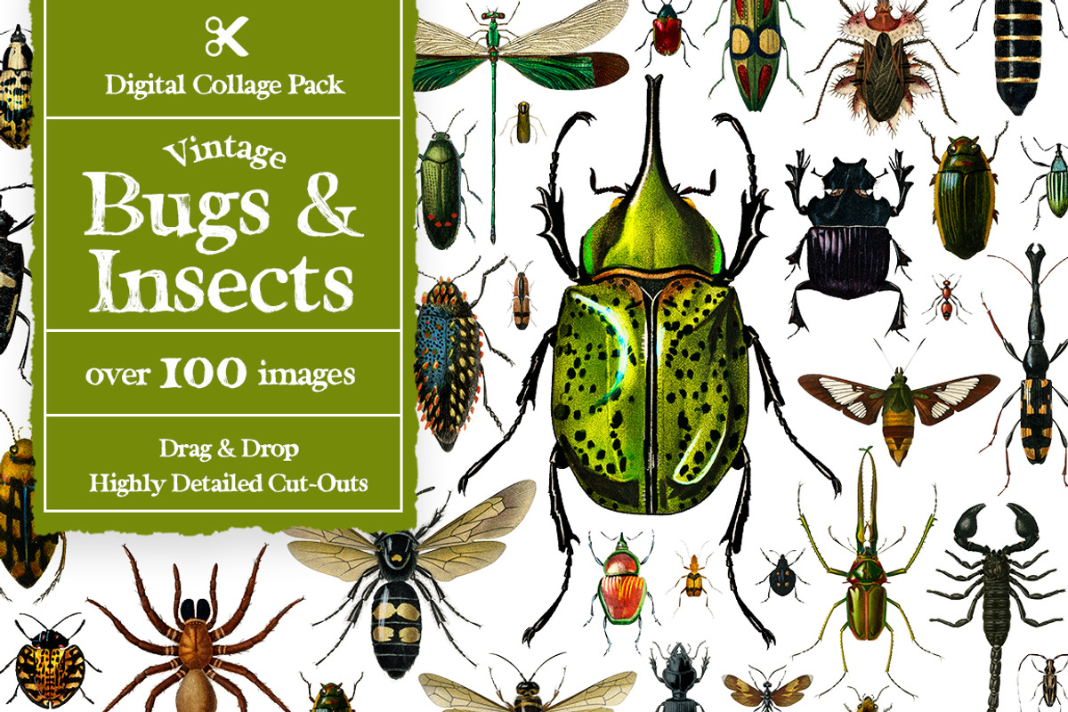 Vintage Collage Creator 1000+ Images, an Object Graphic by Collage Supply Co (Photo 16 of 21)