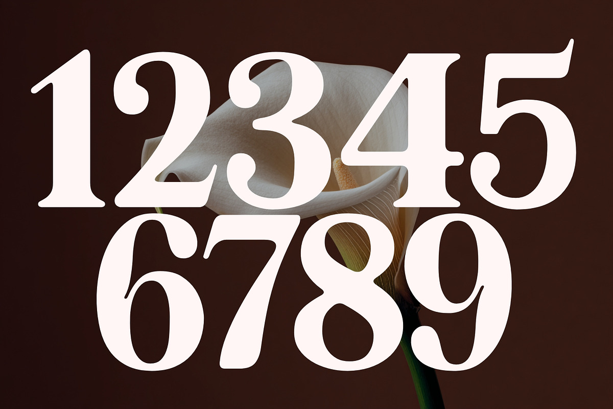 Avolta - Nostalgic Luxury Typeface, a Serif Font by HipFonts (Photo 6 of 11)