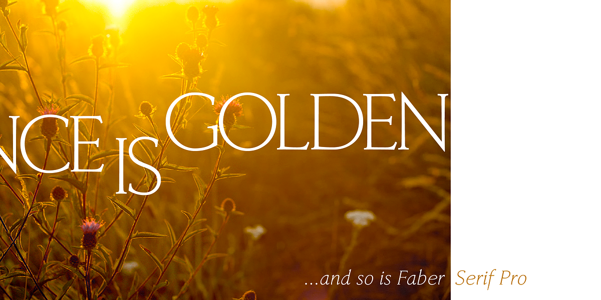 Faber Serif Pro, a Serif Font by ingoFonts (Photo 4 of 9)