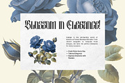 Besquen Modern Gothic Typeface, a Blackletter Font by Heinzel Std (Thumbnail 3 of 13)