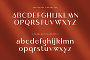 Malika - Elegant Minimalist Font, a Sans Serif Font by Sensatype (Thumbnail 10 of 12)