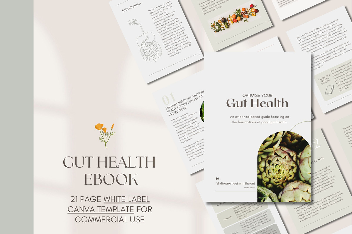 Gut Ebook Canva Template, a Presentation Template by Naturopath Hub (Photo 1 of 9)
