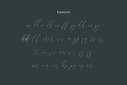 Terranika Typeface, a Script Font by Thirtypath Studio (Thumbnail 6 of 6)